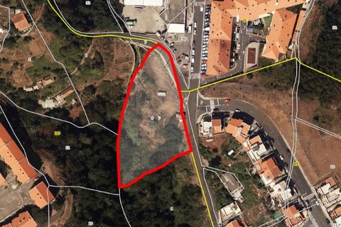 Helårsgrund i Caniço, Madeira, Caniço - € 250.000 | Ref: TER_4795 - foto 17