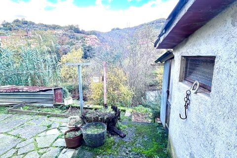 Villa i Luni, La Spezia, Luni - € 230 000 | Ref: 107922 - foto 26