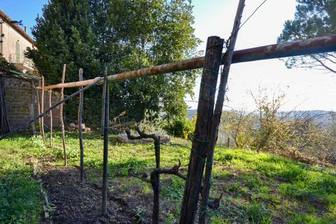 Villa i Montegabbione, Terni, Montegabbione - € 65.000 | Ref: OR8321M-751895 - foto 36