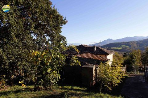 Villa i Bisenti, Teramo, Bisenti - € 120.000 | Ref: EL1128-760247 - foto 7