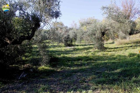 Villa i Bisenti, Teramo, Bisenti - € 120.000 | Ref: EL1128-760247 - foto 8