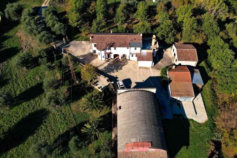 Villa i Atri, Teramo, Atri - € 465.000 | Ref: EL1129-760273 - foto 8