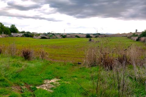Helårsgrund i Sassari, Sassari, Sassari - € 585.000 | Ref: OTT50 - foto 3