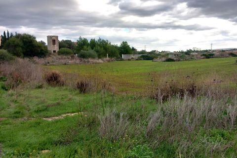 Helårsgrund i Sassari, Sassari, Sassari - € 585.000 | Ref: OTT50 - foto 4