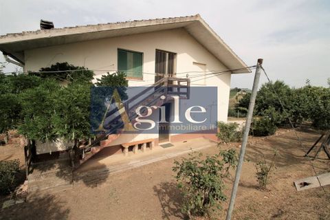Villa i Cossignano, Ascoli Piceno, Cossignano - € 120.000 | Ref: 2347 - foto 20