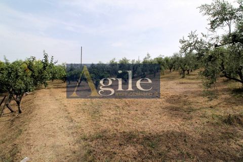 Villa i Cossignano, Ascoli Piceno, Cossignano - € 120.000 | Ref: 2347 - foto 21