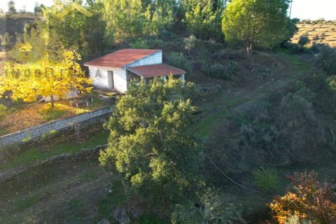 Farm i Castelo Branco, Castelo Branco, Castelo Branco - € 87.500 | Ref: 4978 - foto 1
