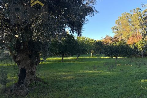 Farm i Castelo Branco, Castelo Branco, Castelo Branco - € 87.500 | Ref: 4978 - foto 3