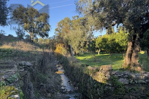 Farm i Castelo Branco, Castelo Branco, Castelo Branco - € 87.500 | Ref: 4978 - foto 4