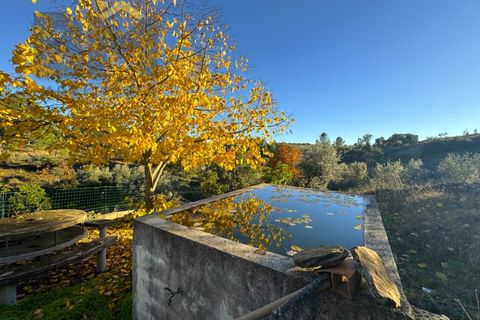 Farm i Castelo Branco, Castelo Branco, Castelo Branco - € 87.500 | Ref: 4978 - foto 5