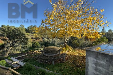 Farm i Castelo Branco, Castelo Branco, Castelo Branco - € 87.500 | Ref: 4978 - foto 6