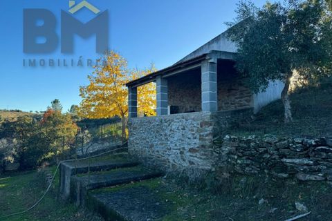 Farm i Castelo Branco, Castelo Branco, Castelo Branco - € 87.500 | Ref: 4978 - foto 8