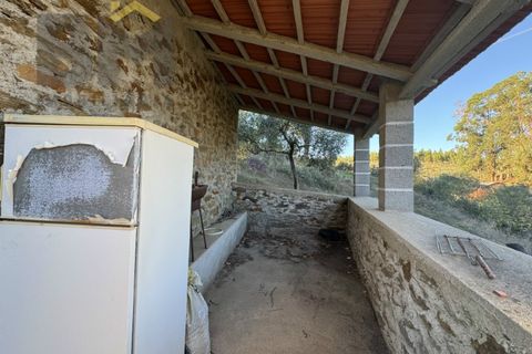 Farm i Castelo Branco, Castelo Branco, Castelo Branco - € 87.500 | Ref: 4978 - foto 10