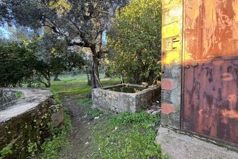 Farm i Castelo Branco, Castelo Branco, Castelo Branco - € 87.500 | Ref: 4978 - foto 12