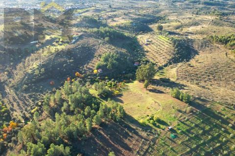 Farm i Castelo Branco, Castelo Branco, Castelo Branco - € 87.500 | Ref: 4978 - foto 19
