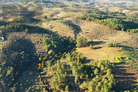 Farm i Castelo Branco, Castelo Branco, Castelo Branco - € 87.500 | Ref: 4978 - foto 20