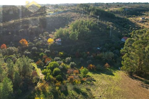Farm i Castelo Branco, Castelo Branco, Castelo Branco - € 87.500 | Ref: 4978 - foto 23