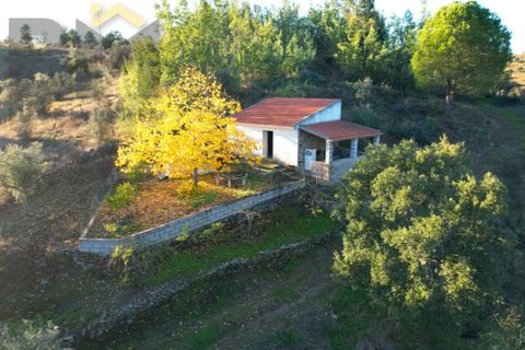 Farm i Castelo Branco, Castelo Branco, Castelo Branco - € 87.500 | Ref: 4978 - foto 26