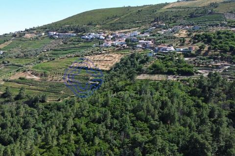 Farm i Sabrosa, Vila Real, Sabrosa - € 360.000 | Ref: 1117391 - foto 8