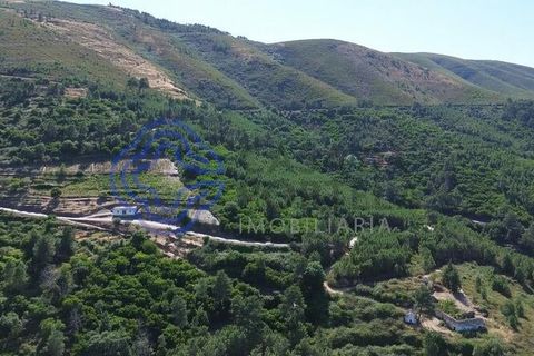 Farm i Sabrosa, Vila Real, Sabrosa - € 360.000 | Ref: 1117391 - foto 10