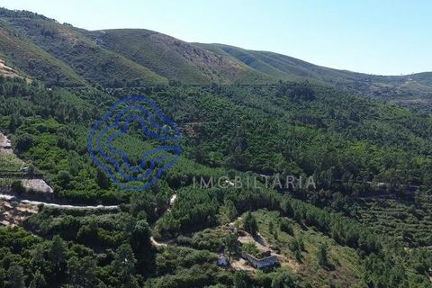 Farm i Sabrosa, Vila Real, Sabrosa - € 360.000 | Ref: 1117391 - foto 11