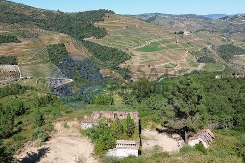 Farm i Sabrosa, Vila Real, Sabrosa - € 360.000 | Ref: 1117391 - foto 13