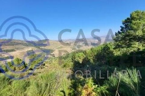 Farm i Sabrosa, Vila Real, Sabrosa - € 360.000 | Ref: 1117391 - foto 15