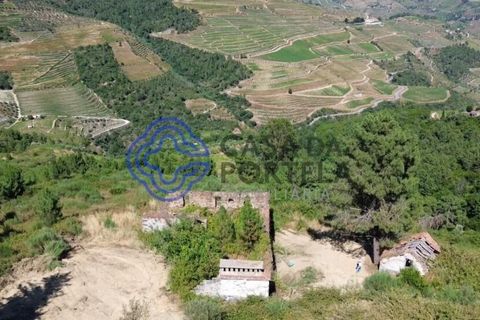 Farm i Sabrosa, Vila Real, Sabrosa - € 360.000 | Ref: 1117391 - foto 17