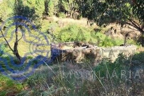 Farm i Sabrosa, Vila Real, Sabrosa - € 360.000 | Ref: 1117391 - foto 18