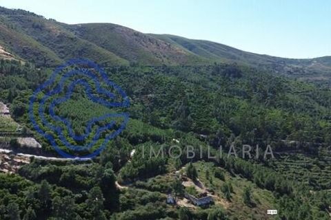 Farm i Sabrosa, Vila Real, Sabrosa - € 360.000 | Ref: 1117391 - foto 20