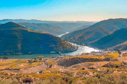 Farm i Sabrosa, Vila Real, Sabrosa - € 360.000 | Ref: 1117391 - foto 21