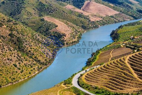 Farm i Sabrosa, Vila Real, Sabrosa - € 360.000 | Ref: 1117391 - foto 27