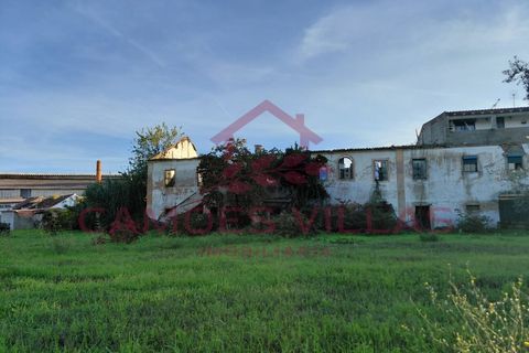 Farm i Abrantes, Santarem, Abrantes - € 275.000 | Ref: FIN_80 - foto 1
