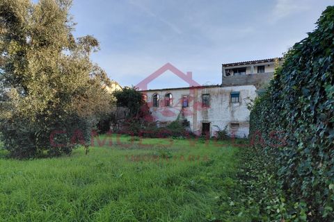 Farm i Abrantes, Santarem, Abrantes - € 275.000 | Ref: FIN_80 - foto 2