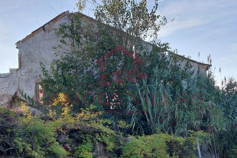Farm i Abrantes, Santarem, Abrantes - € 275.000 | Ref: FIN_80 - foto 3