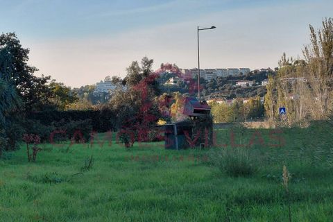 Farm i Abrantes, Santarem, Abrantes - € 275.000 | Ref: FIN_80 - foto 4