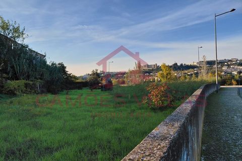 Farm i Abrantes, Santarem, Abrantes - € 275.000 | Ref: FIN_80 - foto 5