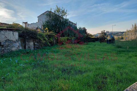 Farm i Abrantes, Santarem, Abrantes - € 275.000 | Ref: FIN_80 - foto 6