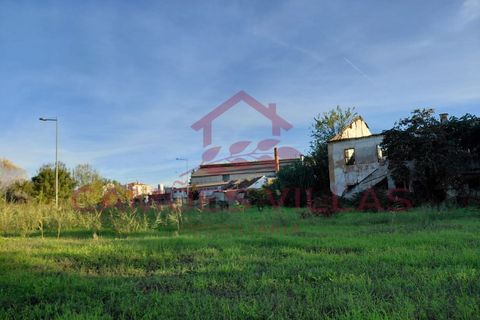 Farm i Abrantes, Santarem, Abrantes - € 275.000 | Ref: FIN_80 - foto 7