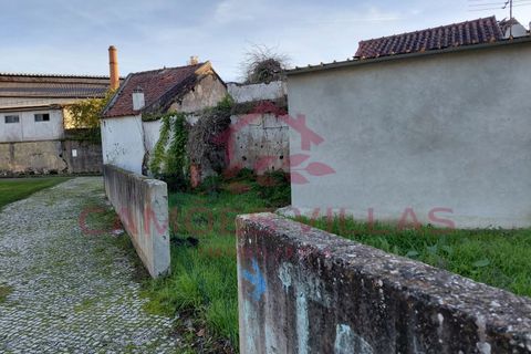 Farm i Abrantes, Santarem, Abrantes - € 275.000 | Ref: FIN_80 - foto 8