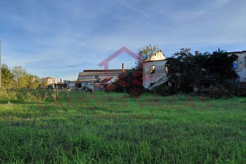 Farm i Abrantes, Santarem, Abrantes - € 275.000 | Ref: FIN_80 - foto 9