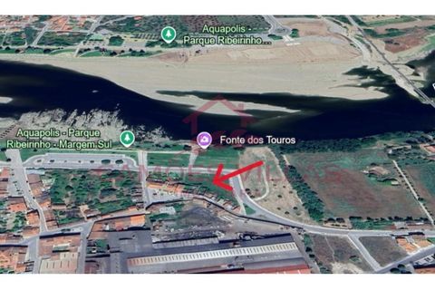 Farm i Abrantes, Santarem, Abrantes - € 275.000 | Ref: FIN_80 - foto 10