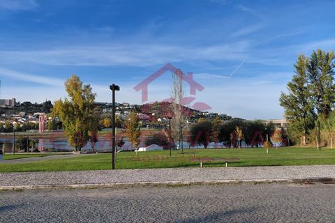 Farm i Abrantes, Santarem, Abrantes - € 275.000 | Ref: FIN_80 - foto 11