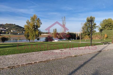 Farm i Abrantes, Santarem, Abrantes - € 275.000 | Ref: FIN_80 - foto 12