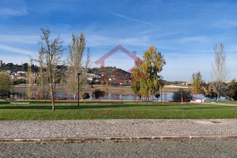 Farm i Abrantes, Santarem, Abrantes - € 275.000 | Ref: FIN_80 - foto 13