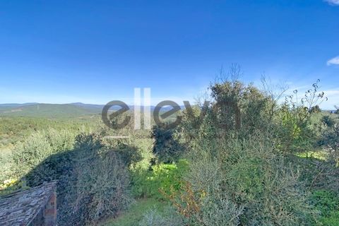 Villa i Castelo Branco, Castelo Branco, Castelo Branco - € 48.500 | Ref: 4001 - foto 20