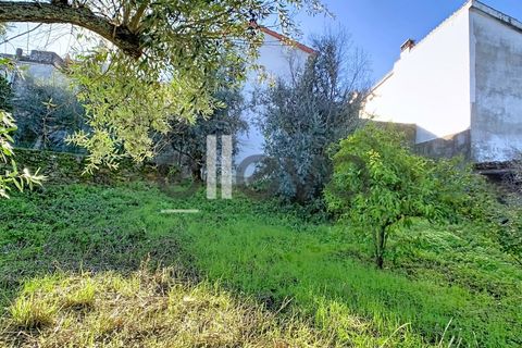 Villa i Castelo Branco, Castelo Branco, Castelo Branco - € 48.500 | Ref: 4001 - foto 21