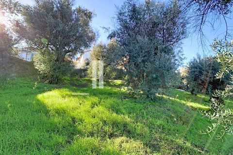 Villa i Castelo Branco, Castelo Branco, Castelo Branco - € 48.500 | Ref: 4001 - foto 22