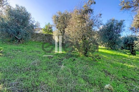 Villa i Castelo Branco, Castelo Branco, Castelo Branco - € 48.500 | Ref: 4001 - foto 23