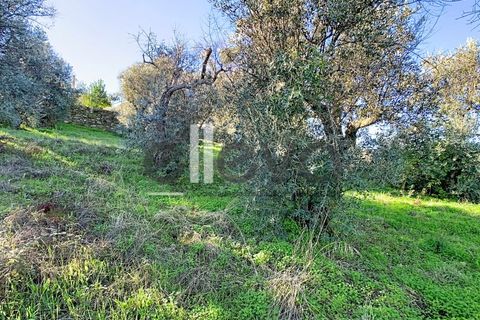 Villa i Castelo Branco, Castelo Branco, Castelo Branco - € 48.500 | Ref: 4001 - foto 25